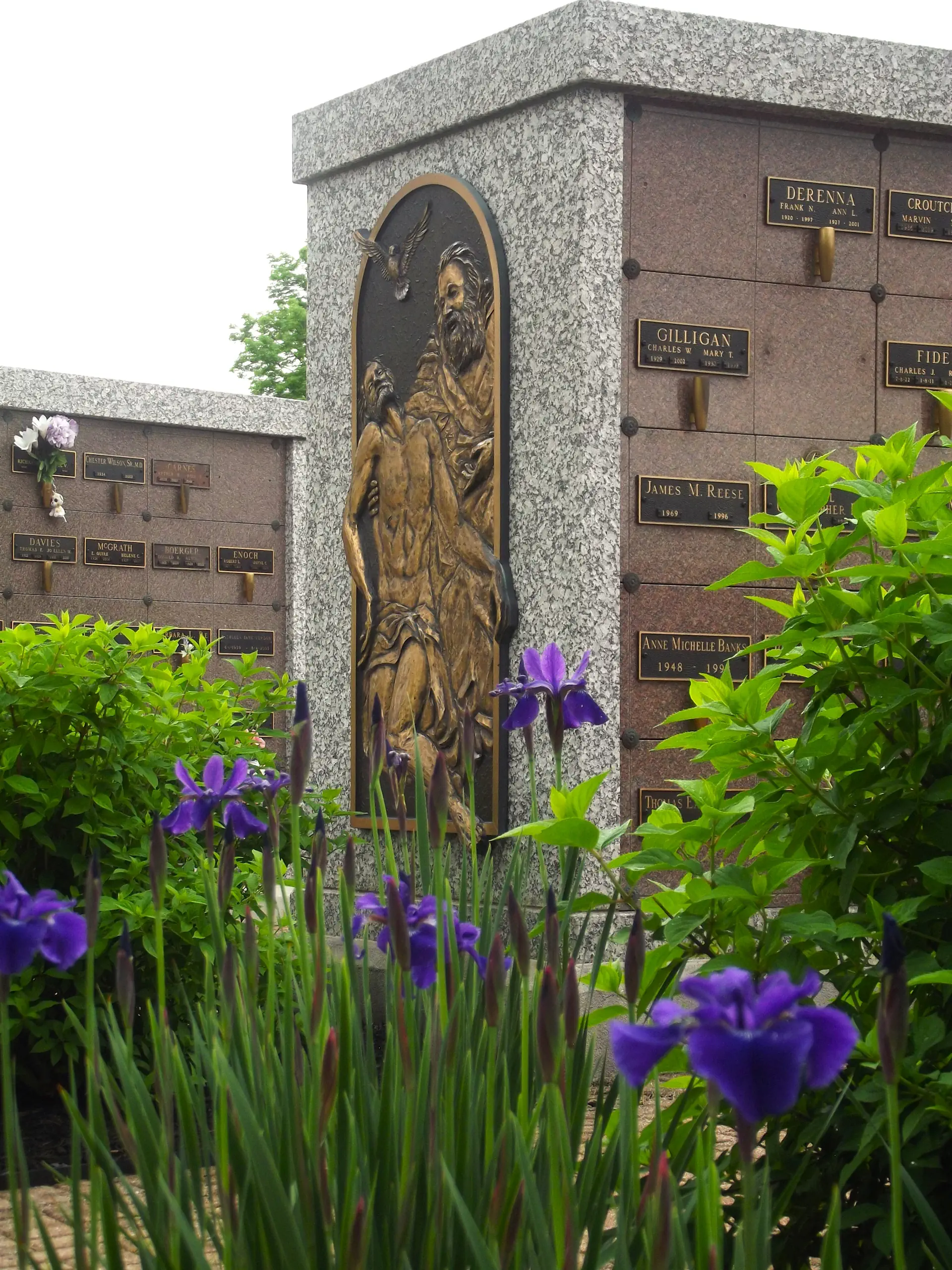 trinity side view